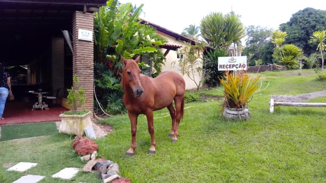 Hotel Fazenda Agua Da Prata Agri Turismo Camaçari Exterior foto